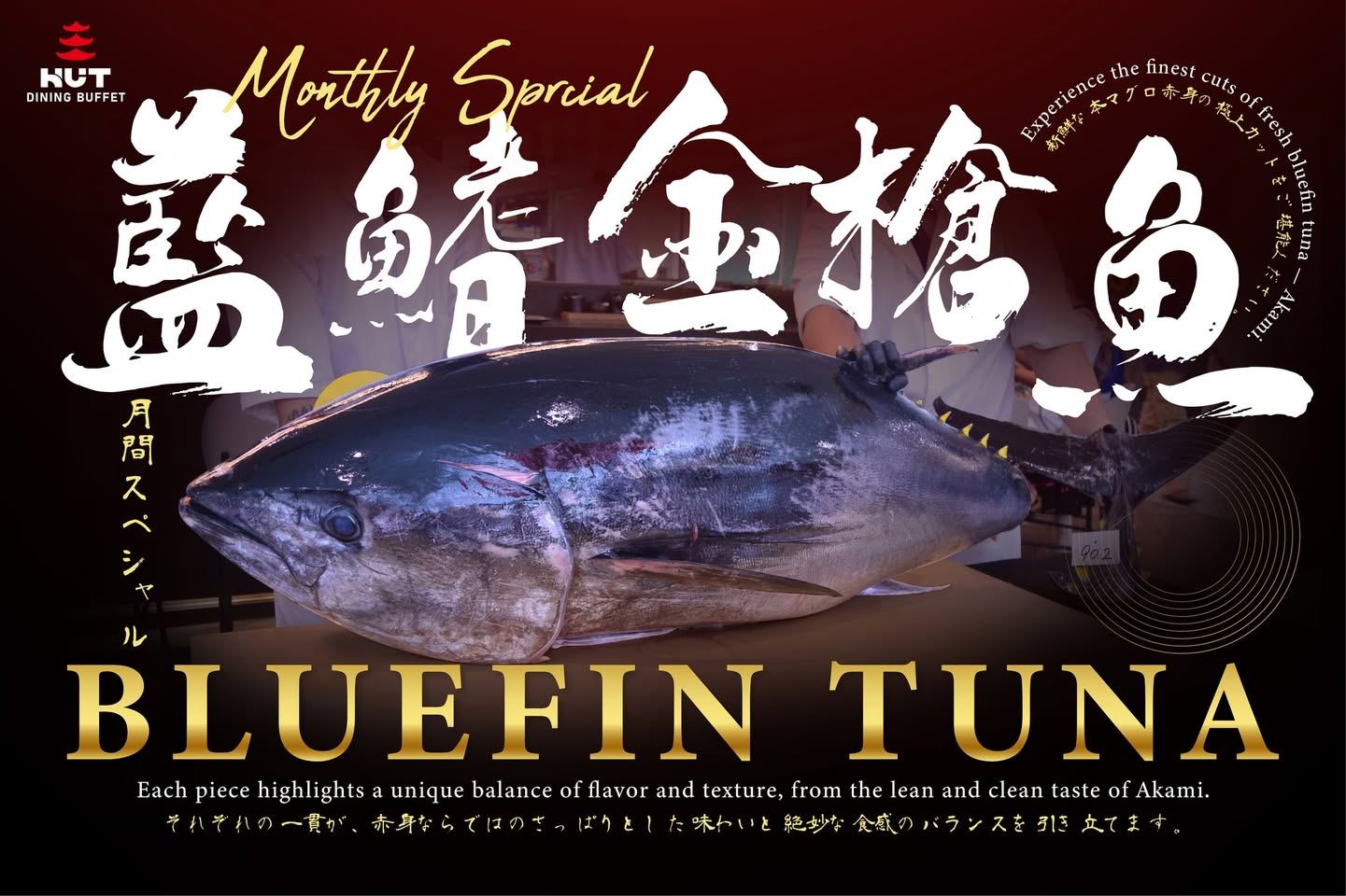 Bluefin Tuna Akami served in a Japanese dining setting