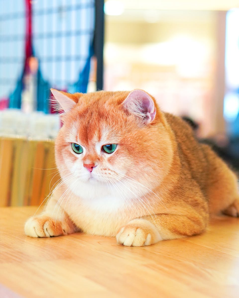 Prize winners celebrating their success at the championship