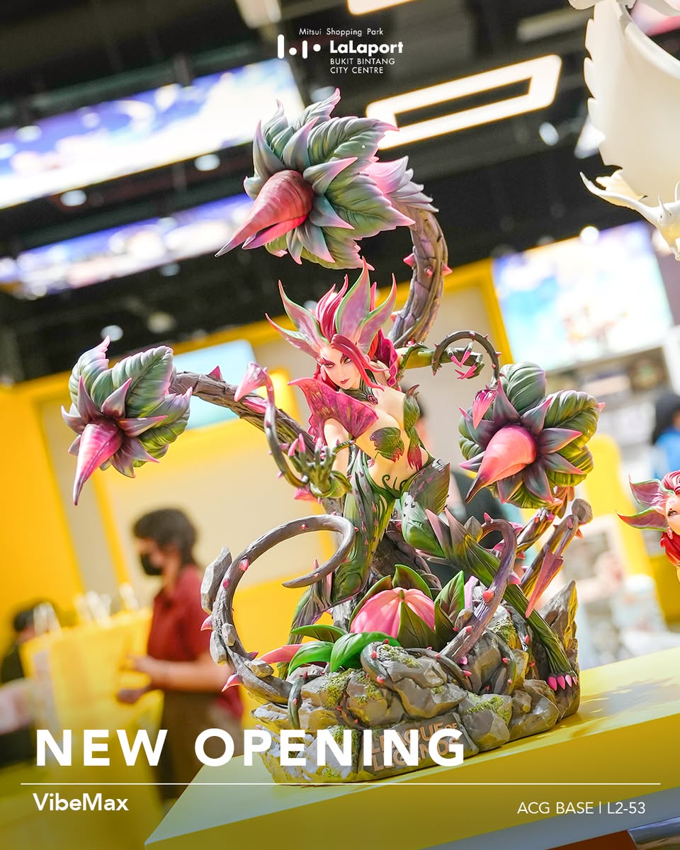 Vibemax store front and merchandise displays