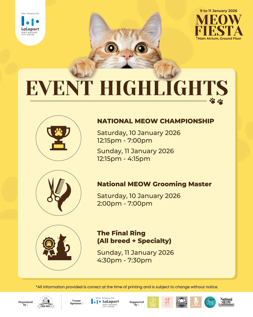 A beautiful cat being showcased at the event