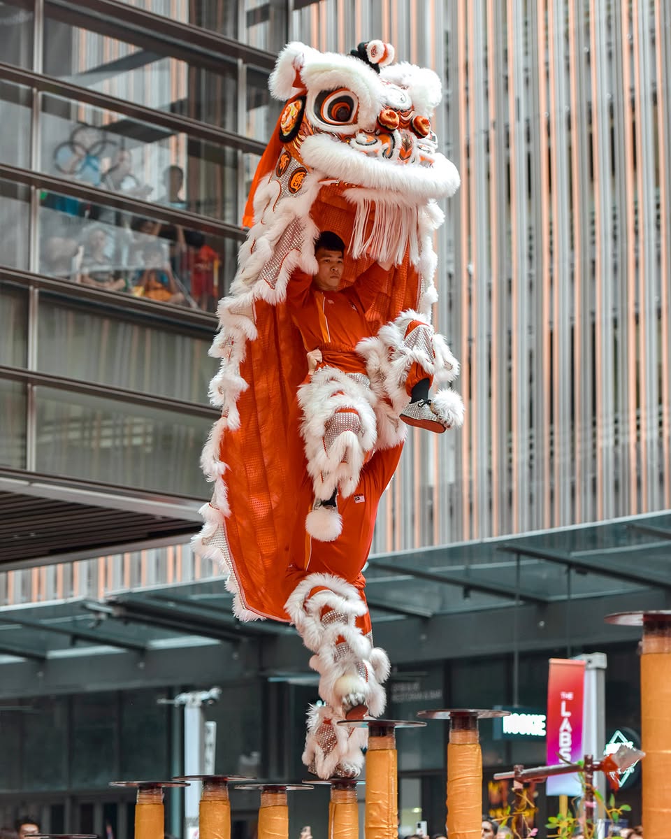 A vibrant lion dance performance showcasing traditional artistry