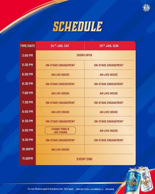 Evening festivities and lighting at Tiger Town