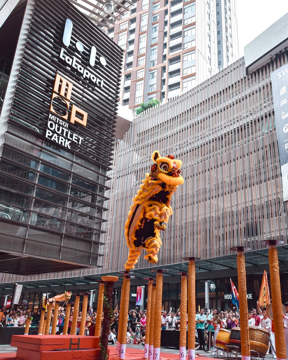 The energetic atmosphere of the dragon and lion dance series