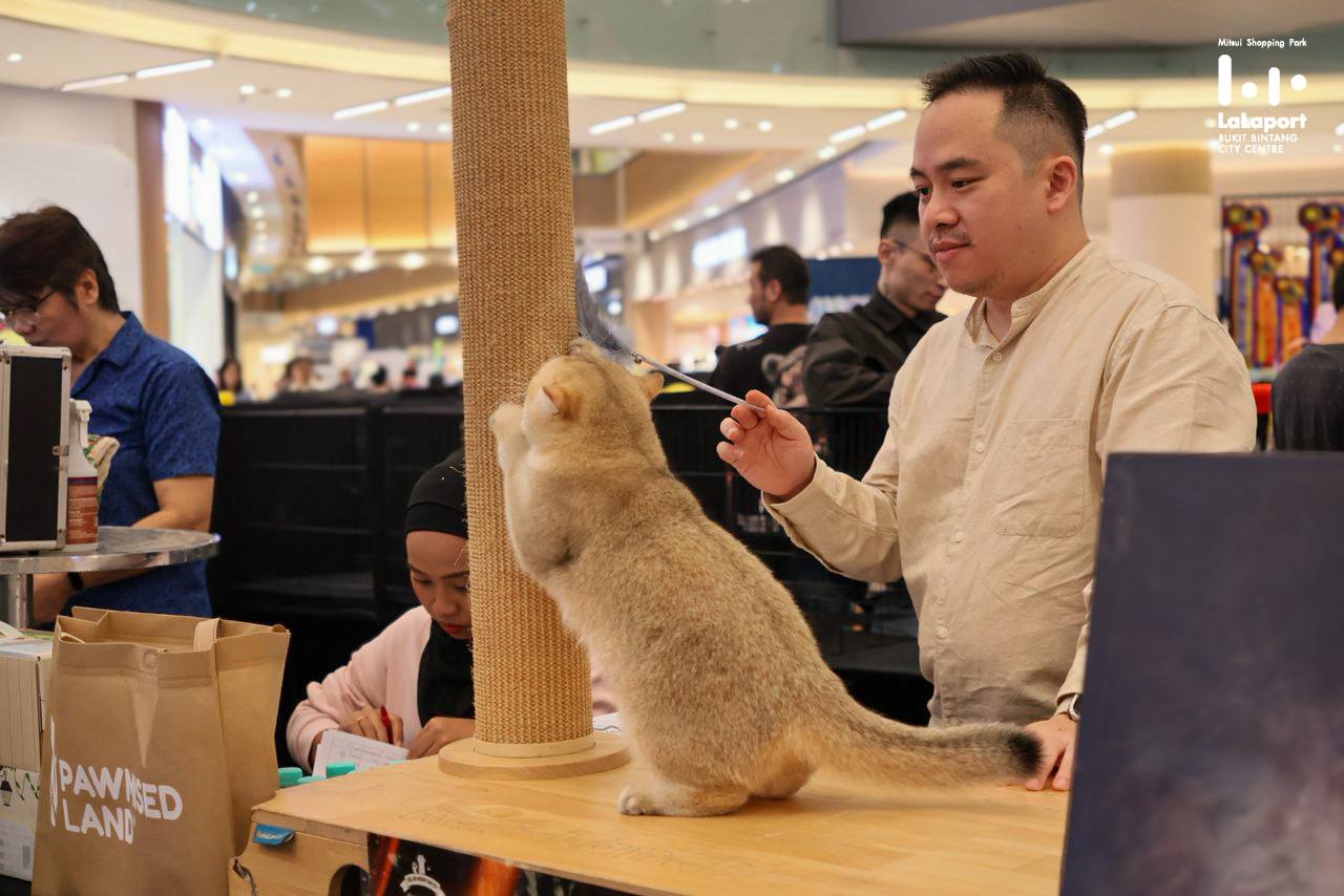 The vibrant atmosphere at LaLaport BBCC during the pet festival.